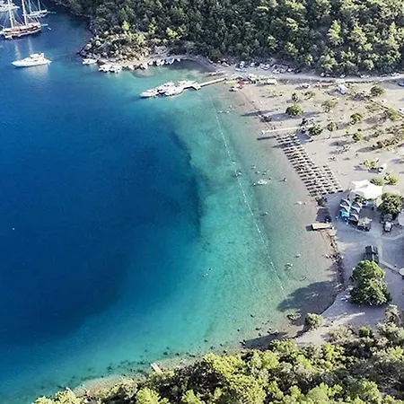 Luxurious Forest In Gocek - Pine