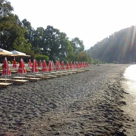 Luxurious Forest In Gocek - Pine * Φετιγιέ
